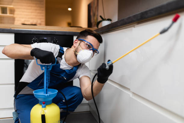 Best Pest Control for Homes  in Queensland, MD