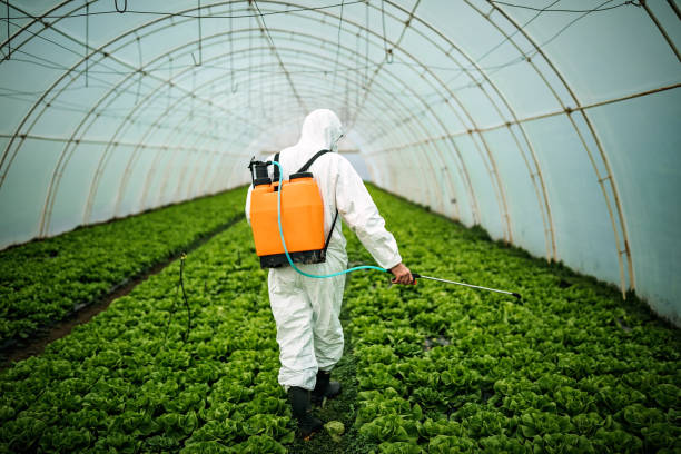 Best Best Pest Control Companies  in Queensland, MD