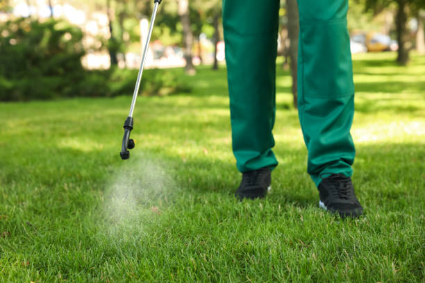 Best Pest Removal Services  in Queensland, MD