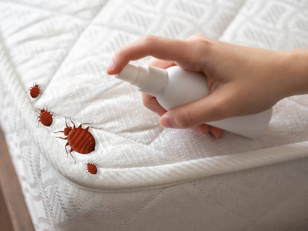 Best Bed Bug Extermination  in Queensland, MD
