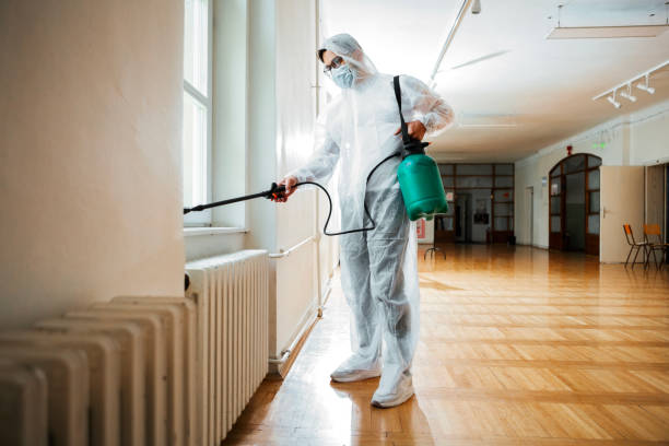 Best Mosquito Control Services  in Queensland, MD