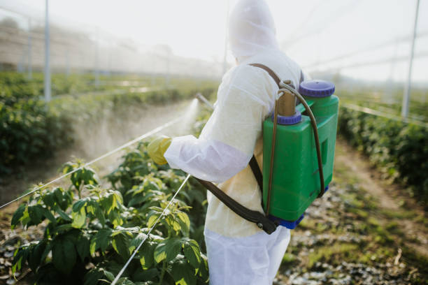 Best Pest Control Near Me in Queensland, MD